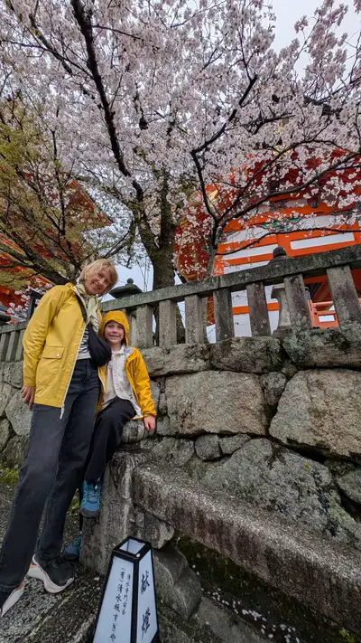 Dasha standing and Charlie sitting on a stone retaining wall below the vermilion pagoda at Kiyomizu-dera, both in yellow raincoats, blossom at full peak filling the whole top of the frame. Overcast, wet, petals on the stone. A stone lantern in the foreground carries the Kiyomizu-dera gate association name and Kiyomizu-zaka, which is how the temple is identifiable from the frame alone.